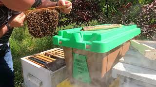 Giving Resources To New Langstroth And Warre Swarm Hives swarm hive beekeeping beehives