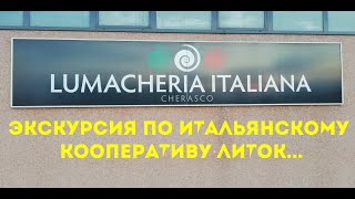 Италия, экскурсия, день 1 |улитки| улиточная ферма | бизнес в селе | Xellix Aspersa Muller |