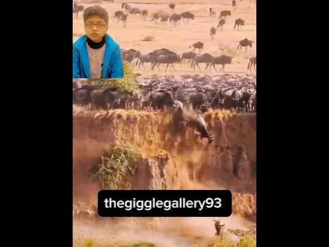 Have you ever seen a warthog run so fast?#viral #reaction #ytshort #