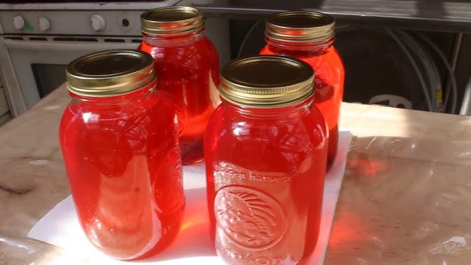 Canning Fruit Juice from Freezer to Steam Canner (2023) 