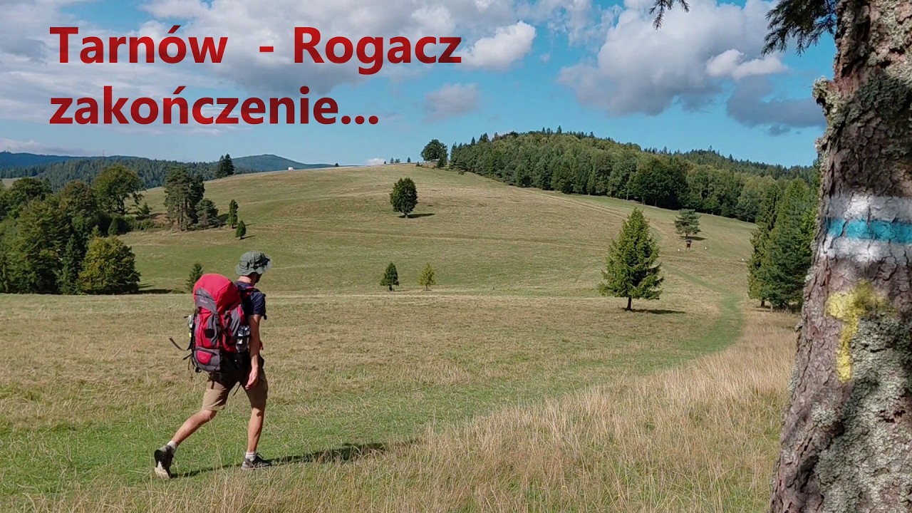 Tarnów - Rogacz: zakończenie