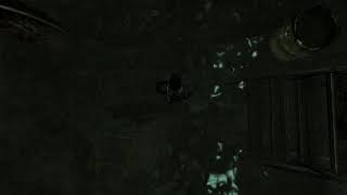 Olly Modding: Extremely Specific and Arbitrary New Vegas Bug That Makes Me Very Upset