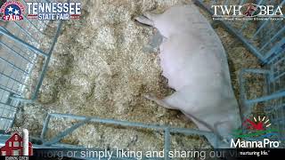 Wilson County Fair - Tennessee State Fair, Mon 08-18-2021