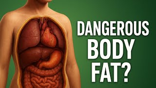 This Hidden Fat Is Killing You Visceral Fat Explained In 3D