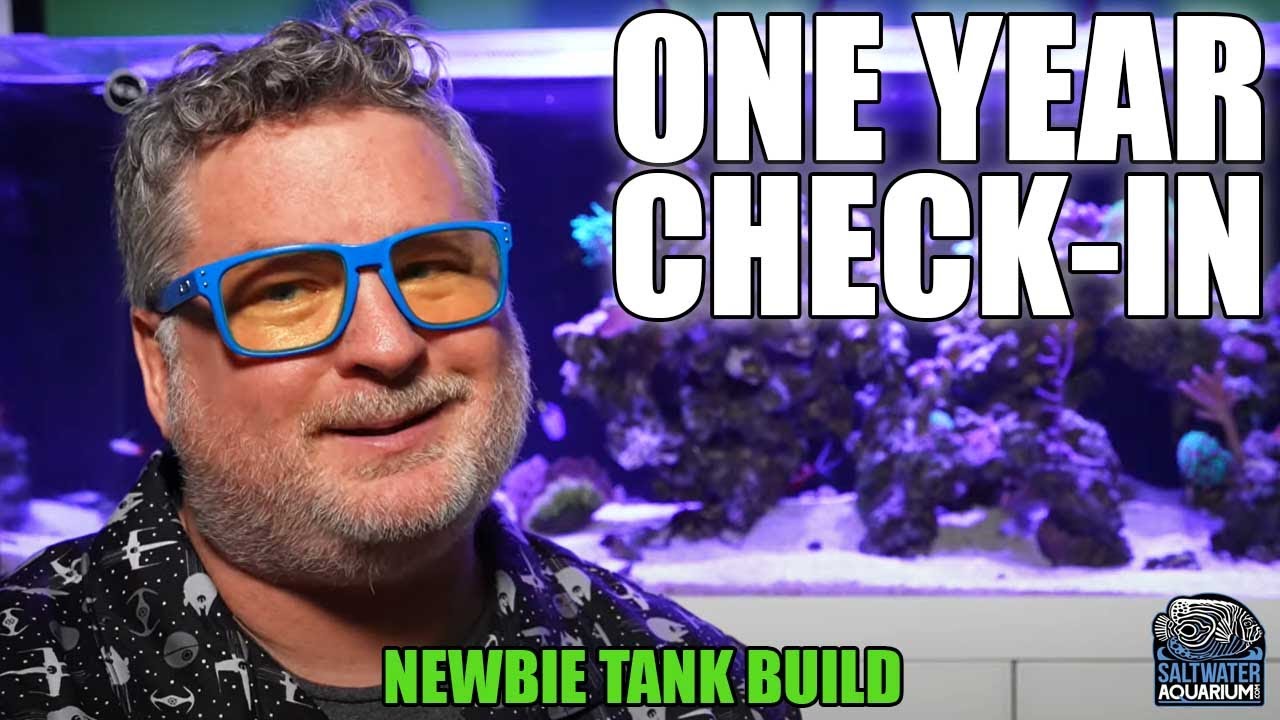 Сайты недвижимости. 3 формы глагола в английском. Read the text and match the titles to each paragraph one title is extra ответ. Пассивный залог англ таблица. Year built перевод.