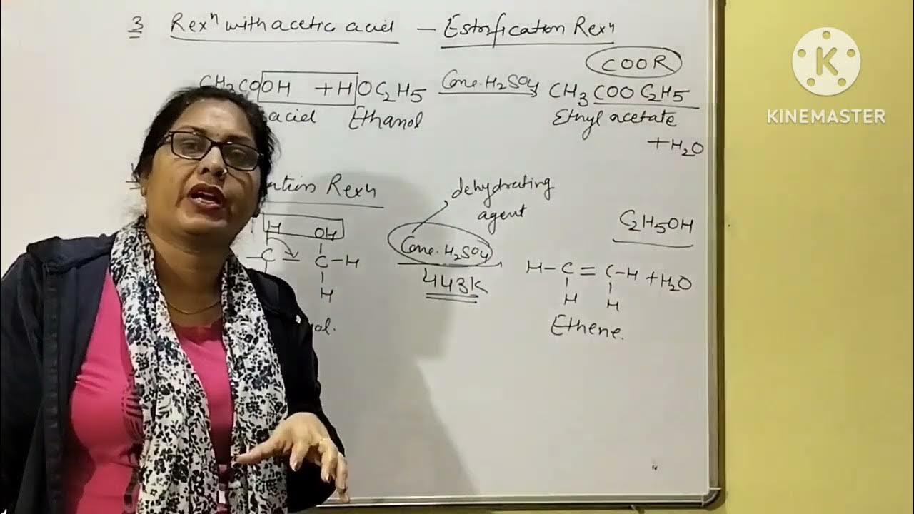 Dehydration Reaction,Dehydrating agent YouTube
