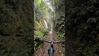 Jungle Waterfall Cycling POV 🚴 Tropical Rainforest Ride in 4K #shortvideo
