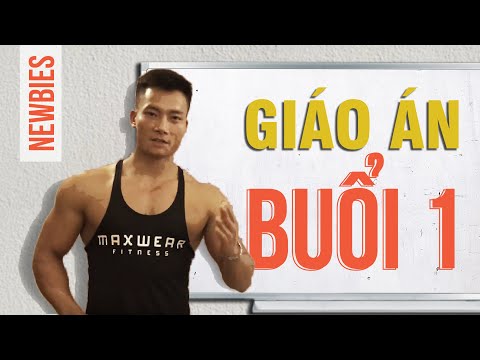 Video GIÁO ÁN CHO NGƯỜI MỚI TẬP GYM - BUỔI 1 - youtube