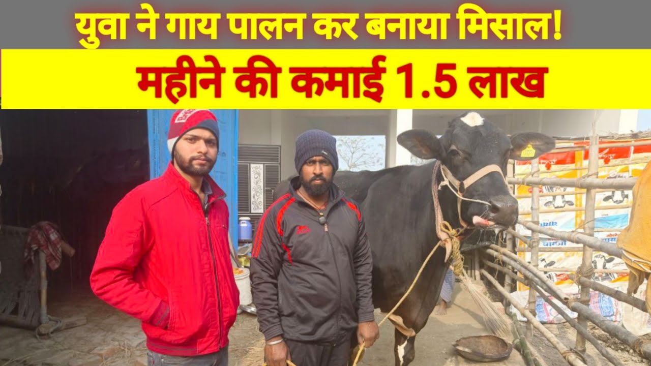 10गाय से महीने से 80000 कमाई !!गाय पालन की A To Z जानकारी!! Dary farm in bihar!! Gopalganj
