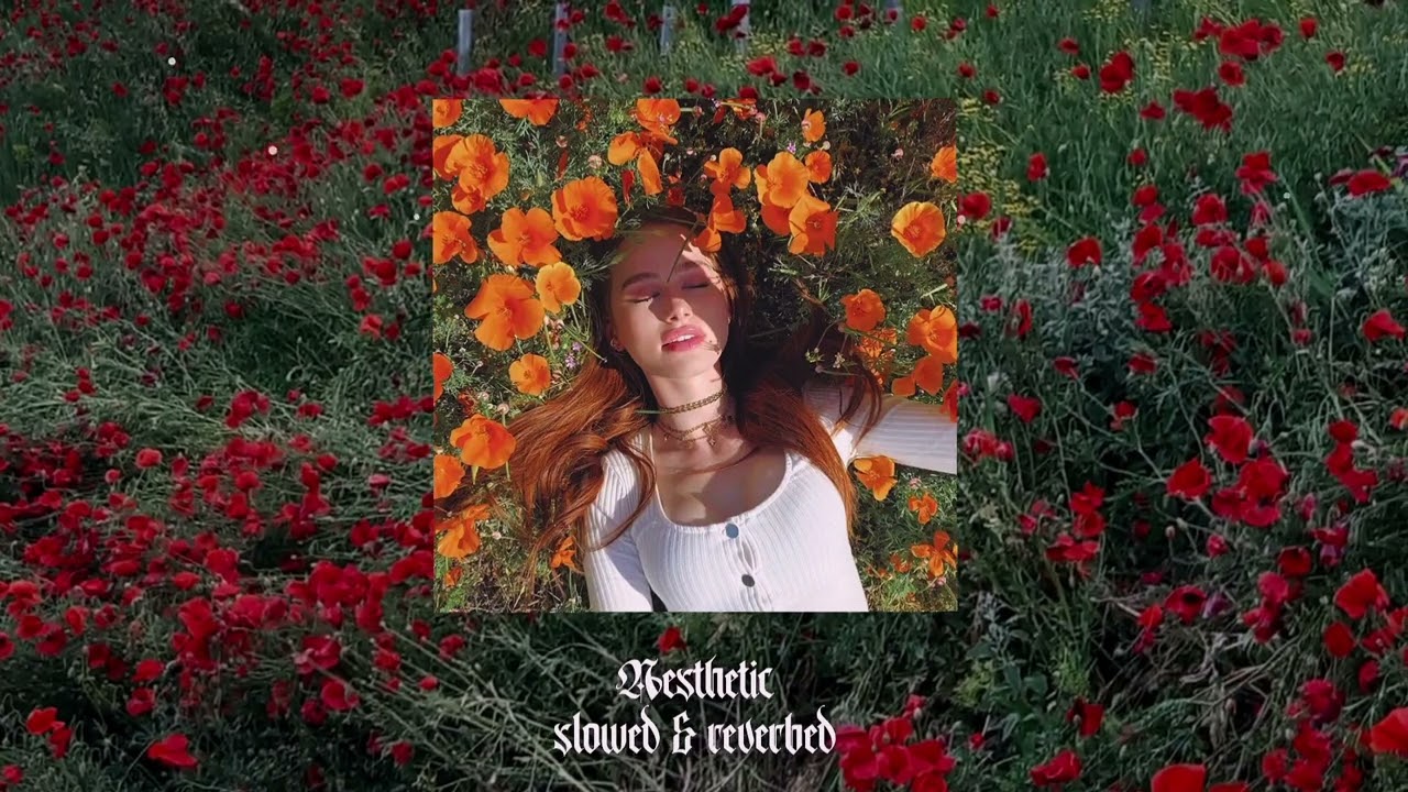 Sete de noi x Desert Rain - Adrian Sasca Remix | slowed & reverbed |