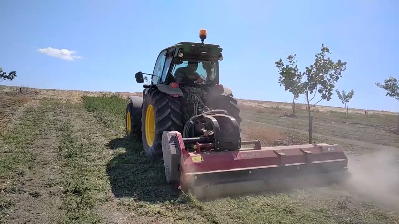 John Deere 5100 GL Mulching Between Tree Rows | Perfect Orchard Maintenance 🚜🌱
