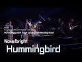 Novelbright(노벨브라이트) - Hummingbird &middot; ハミングバード  | 25.10.11 [Novelbright LIVE TOUR 2025 in SEOUL]