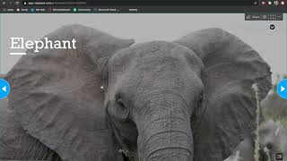Student View Nearpod 2.0