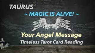 Celebrity TAURUS  ~ MAGIC IS ALIVE! ~ YOUR ANGEL MESSAGE ~Timeless Tarot Card Reading Wealth