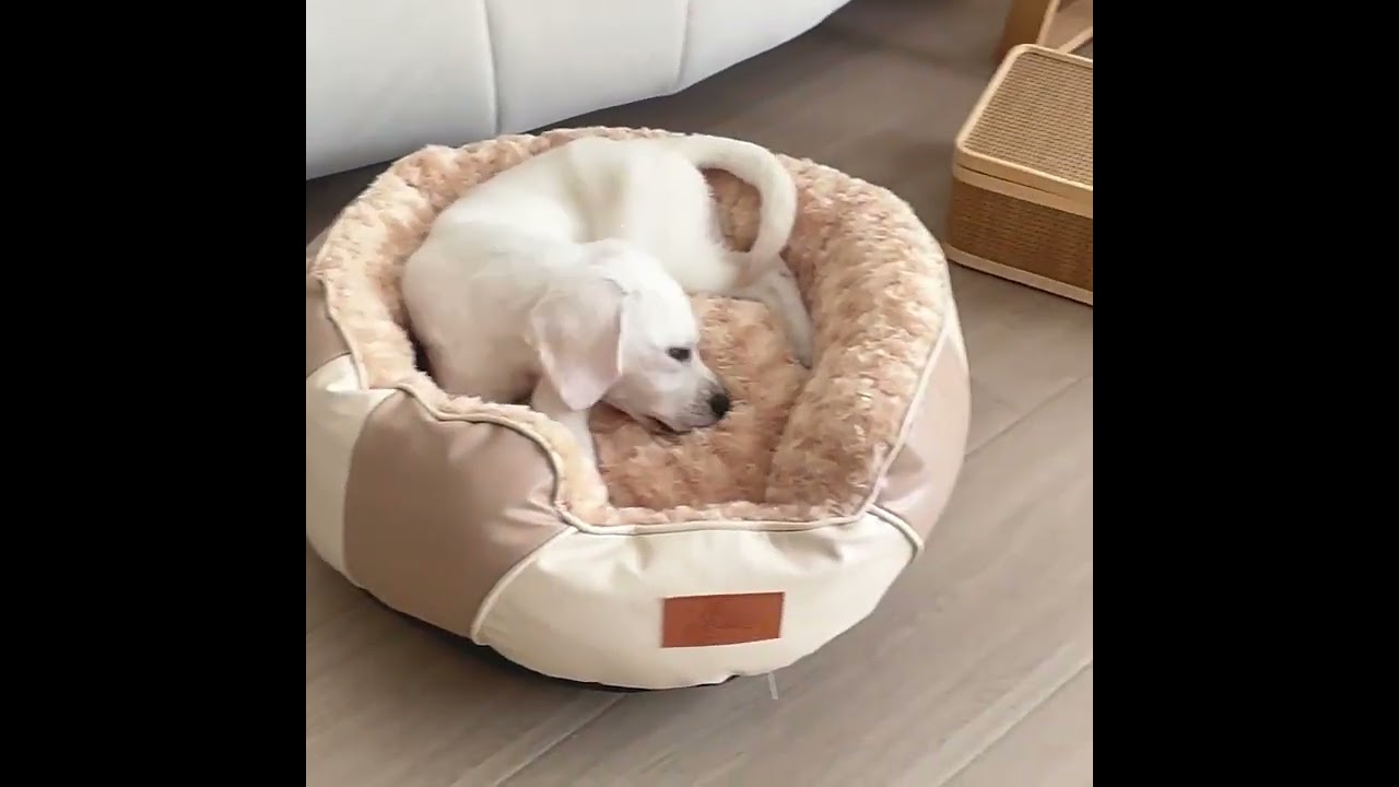 The donut shape offers a sense of security&warmth, while the raised edge provide a comfortable place