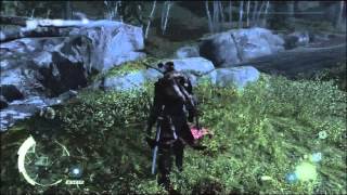 Getting All The Pivots Assassins Creed 3