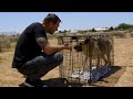 Saving This Dog Took 9 Hours | Brandon McMillan