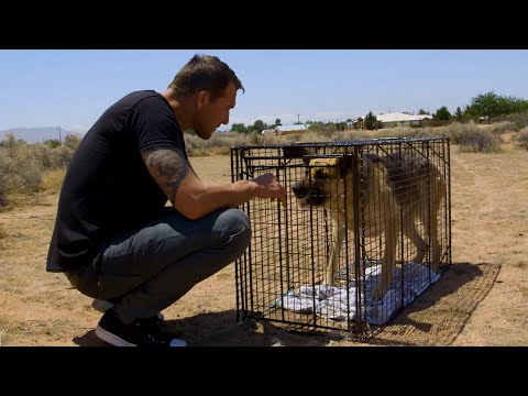 Video: Brandon McMillan bo nagrajen na Global Pet Expo 2018