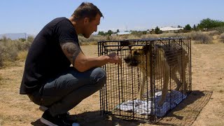 Saving This Dog Took 9 Hours | Brandon McMillan