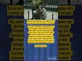 14 ёшли террорчи, қочаётган Қобулжон ва онафожиаси#ibrat#rek#hikmat#news#fup#uzb#hikmatlar