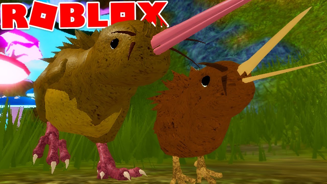 VIDA DE KIWI NOVO ANIMAL e NOVO MAPA! ROBLOX Feather Family *Para