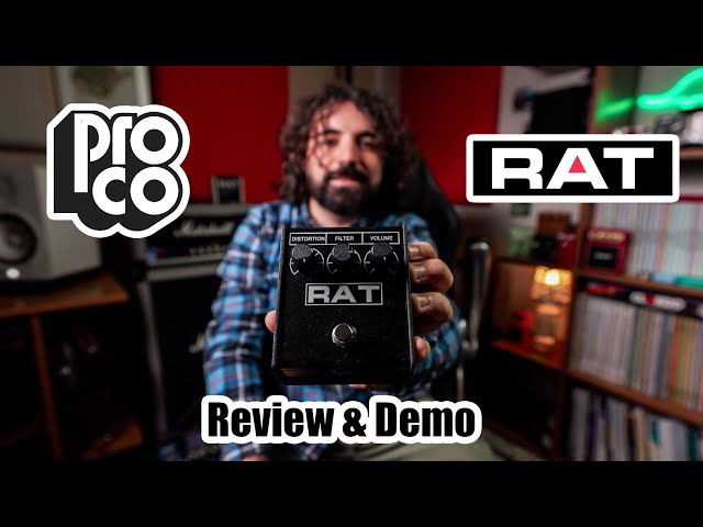 Proco Rat 2 | Review & Demo (and comparison with the Sonicake Rude