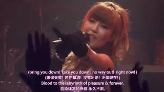 Maon Kurosaki - Scars live from 'Vertical Horizon tour' - 2013