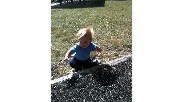 Motor Development: Theories & Principles