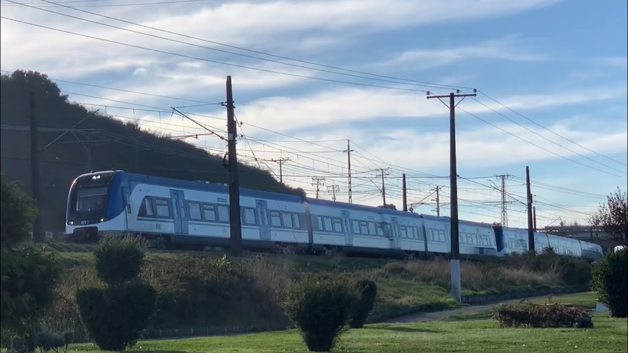 Nuevos Automotores Chinos circulando en múltiple por el Gran Concepción.