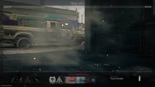 Flashbang final kill Wtf