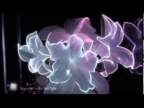 押し下げる 愛する ジョリー 光る ブーケ フリース 離れた チョコレート