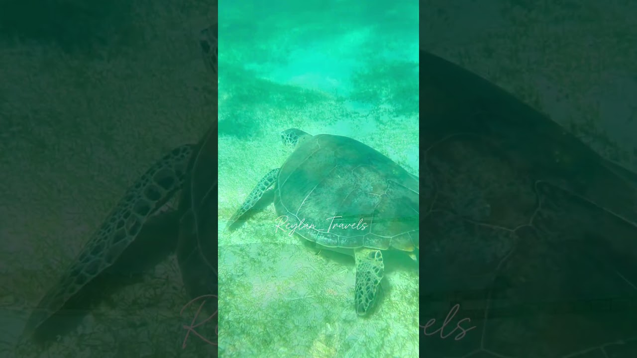 Onok Island, Balabac, Palawan 