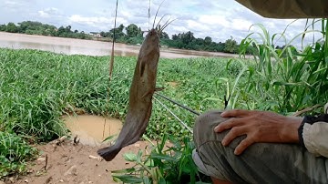 Câu đài sông đồng nai. Lần đầu tiên va Cù lao bạch đằng và cái kết không phục p1