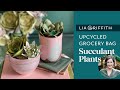 Upcycled Paper Bag Succulents