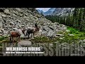 Wyoming Wind River Pack Trip  into the High Country