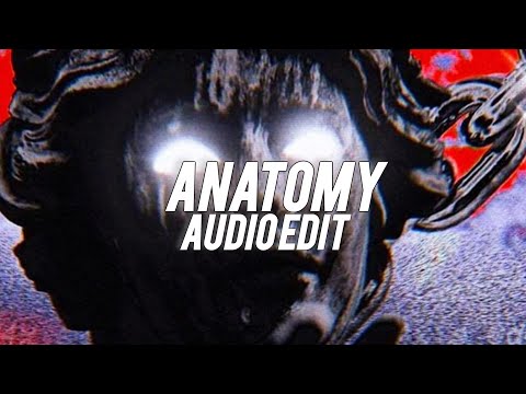 Anatomy Ultra Slowed And Reverb Teenwxve Edit Audio