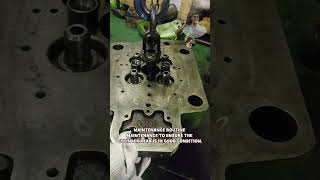What is the importance of cylinder head  diesel generator onboard ship  pressure test