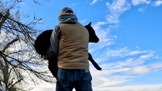 Fighting Mud and a Confused Cow!