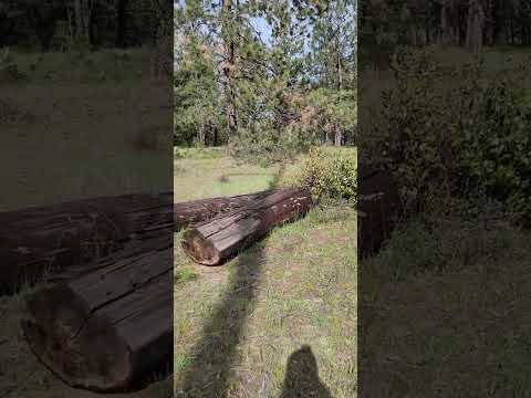 3 Diamond Heights, Oldtown, ID home video tour