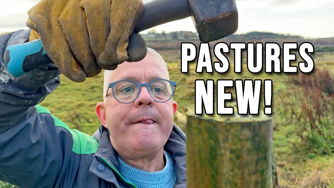 Pastures New… But Not Quite What You Think!