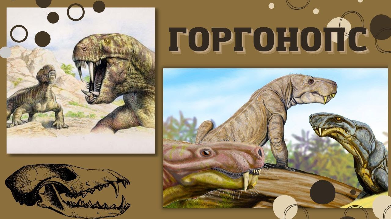 Эволюция животных видео. Горгонопс. эволюция динозавров. горгонопс арк. горгонопс рубеджеид.