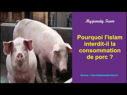 Pourquoi Lislam Interdit Il La Consommation De Porc