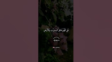 أجمل حالات واتس اب قرأن بصوت القارئ ماهر المعيقلي/#سورة_الزمر #القرآن_الكريم #ماهر_المعيقلي/#quran