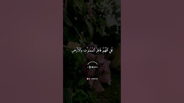 أجمل حالات واتس اب قرأن بصوت القارئ ماهر المعيقلي/#سورة_الزمر #القرآن_الكريم #ماهر_المعيقلي/#quran
