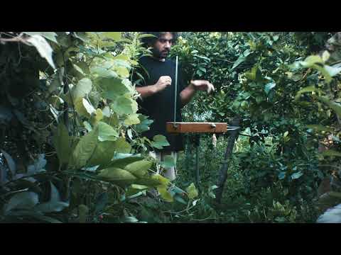 Tamino Reverse Theremin Version