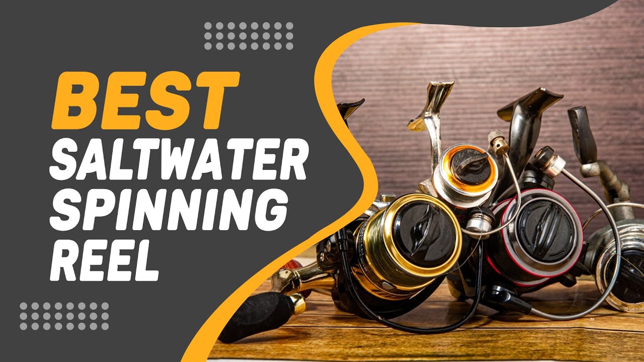 Best Saltwater Spinning Reel in 2022 – Pick Your Desired One