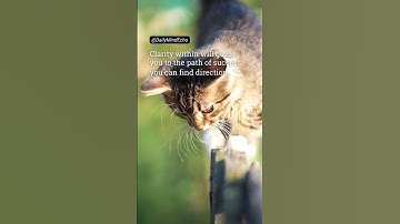 Uncertain About Your Goals? Reflect on Core Values #DailyMindEcho