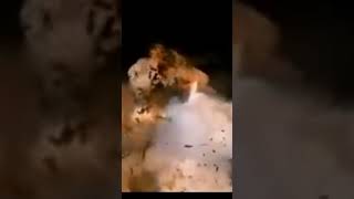 Famous nerd smash Big Ben Net Worth