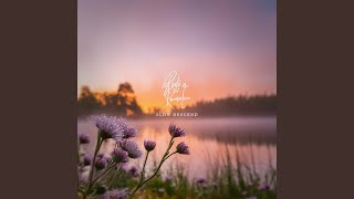 Slow Descend - Roots and Recognition