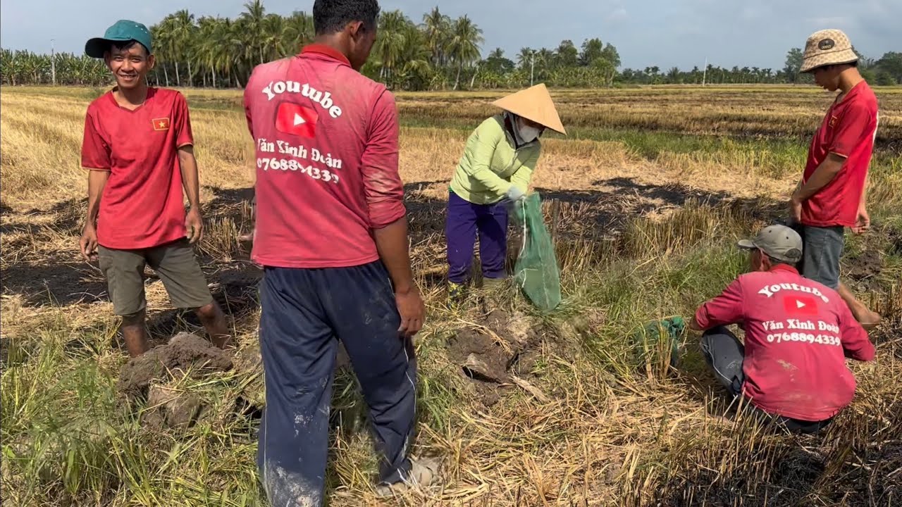 Đánh giá khả năng bứt phá của Chelsea trong trận này - Cùng nhà cái keonhacai07 để khám phá triển vọng bất ngờ Chiến Thắng